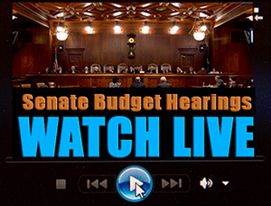 Budget Hearings