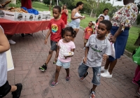 Día de picnic comunitario