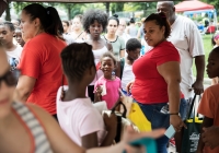 Día de picnic comunitario