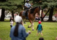 August 15, 2023: Senator Christine Tartaglione hosts Annual Community Picnic.