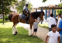 August 15, 2023: Senator Christine Tartaglione hosts Annual Community Picnic.