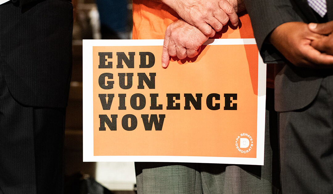 Senate Democrats Call on Republicans to Immediately Prioritize Gun Violence Prevention Legislation and Appropriations