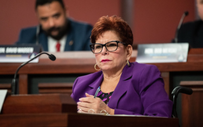 El Senado y la Cámara de Representantes debaten proyectos de ley para ampliar la protección laboral a los empleados públicos